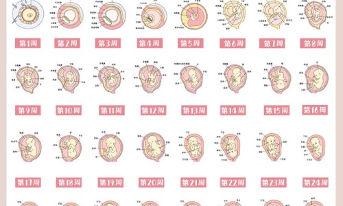 母乳期间什么不可以吃网 | 母乳期间什么不能吃的食物,母乳什么不可以吃的食物