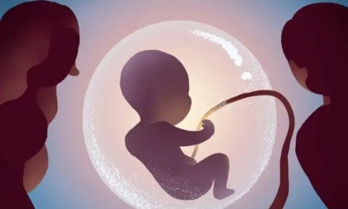母乳期间什么不可以吃网 | 母乳期间什么不能吃的食物,母乳什么不可以吃的食物